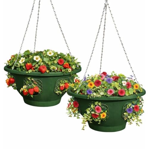 Ultimate Hanging Basket Strawberry & Flower Planter – 6 Side Planting Spaces, Drainage Hole, 1” Water Reservoir, Zinc-Plated Chain Included, Made in the USA (Deep Forest) - color: Deep Forest