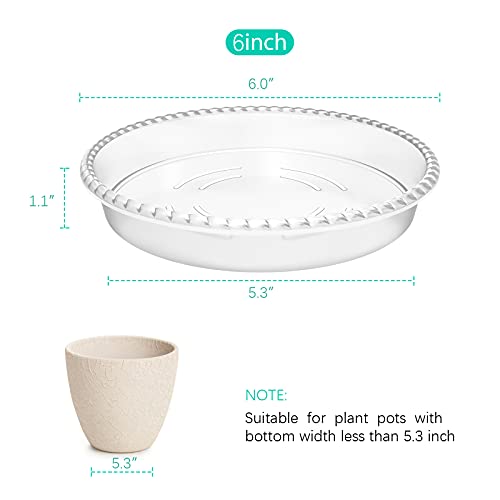 6 Pack Clear Plant Saucer 6 inch, Durable Plastic Plant Trays for Indoor, Round Flower Plant Pot Saucer, Sturdy Plant Water Catcher Tray - size: 6 inch