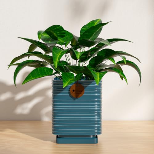 5.1 Inch Green Ceramic Planter with Drainage and Saucer - color: Peacock Green, size: Small