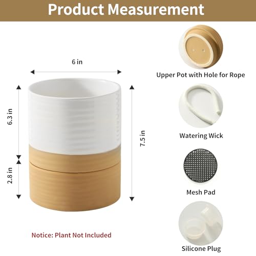 HASENSE Self Watering Plant Pot, 6 Inch Porcelain Planter with Drainage Hole and Saucers for Indoor & Outdoor Plants, Round Flower Pots for Houserwarming Gift, White - color: White & Terracotta, size: 6 Inch (Self Watering, 1 pcs)