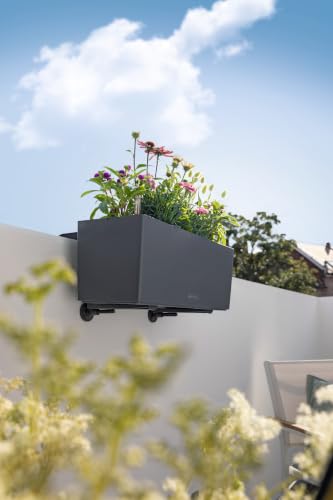 Lechuza Balconera Bracket - Black - color: Black