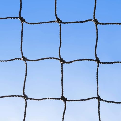 Baseball Backstop Nets | Professional Grade Sports Netting Available in 82 Sizes - 100% Weatherproof with Overlocked Edges - size: 10' x 24'