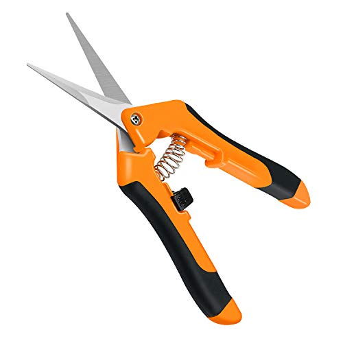 iPower GLPRNR6OR 6.5 Inch Gardening Pruning Shears Hand Scissors with Straight Stainless Steel Blades for Trimming Herbs, Plants, Hydroponic, 1-Pack, Orange - color: Orange, size: 1-pack