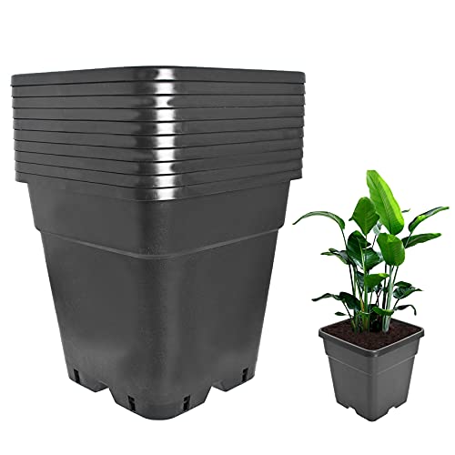 Plant Pots Flower Pot 10-Pack 10 Gallon Planter Nursery Pot Garden Seedling Planters Containers Plastic Injection Molded Pots with Drainage Holes for Outdoor Indoor Plants Vegetables, Black - color: Black, size: 10 Gallon - Square