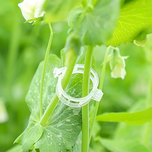 80 pcs Plant Stem Training Clips, Low Stress Plant Bud Bender Branches Trainer Plant Support Clips Plant Ties Trellis Clamps for Climbing Plants Garden Plant Grow Tools
