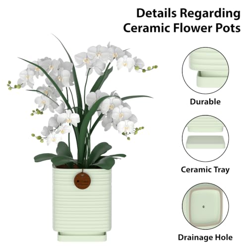 5.1 Inch Light Green Ceramic Planter with Drainage and Saucer - color: Light Green, size: Small