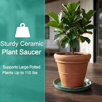 Ceramic Plant Saucer, 11.4 inch, Forest Green - color: Forest Green