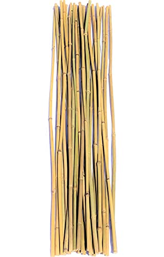 Natural Bamboo Poles, Eco-Friendly Plant Support Garden Stakes 4ft Long, Diameter of 1/2" (25-Count) - size: 4 ft, 1/2" Diameter (25-Count)
