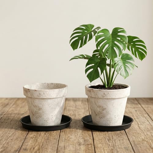 2 Pack Plant Saucer Tray, Water Catcher for Pots, Black, 10 Inch - size: 10Inch