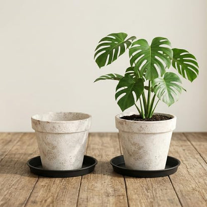 2 Pack Plant Saucer Tray, Water Catcher for Pots, Black, 10 Inch - size: 10Inch