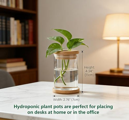Desktop Plant Hydroponic Vases, Water Plant Jars, Gardening Gifts for Office and Home, Outdoor - color: Clear