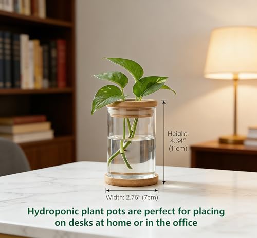 Desktop Plant Hydroponic Vases, Water Plant Jars, Gardening Gifts for Office and Home, Outdoor - color: Clear