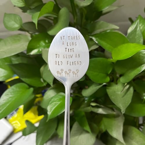 Garden Friendship Gift for Women Gardeners, Plant Marker Stake Label Sign Tag, Gardening Gifts for Woman Plant Lovers, Metal Garden Decoration (Grow an Old Friend-B) - style: Grow an Old Friend-B