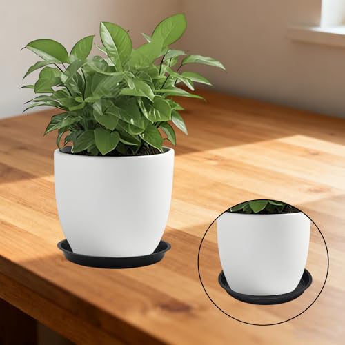 6 Pack 8 Inch Black Plant Saucers Plastic Drip Trays for Pots - color: Black, size: 8 Inch