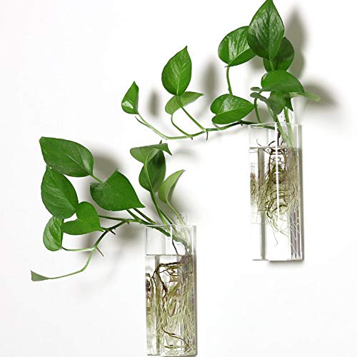 Wall Hanging Planter Glass Terrariums - Rectangle Shape Plants Holders Air Plants Succulents Planters Wall Flower Vase Containers for Plant, Decoration and Display，2 Pack - color: 2 Pack, size: Rectangular (M)