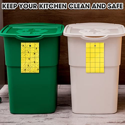 Qualirey 600 Pcs Sticky Trap for Gnats 3 x 5'' Dual Side Sticky Fruit Fly Trap with Tie Plant for Flying Insect Fungus Bugs Flying Catcher for Indoor (Yellow)