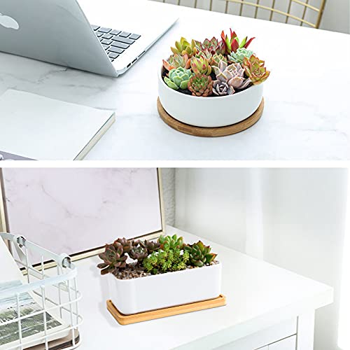 White Ceramic Succulent Plant Pots, 1 Rectangular Flower Pot + 1 Round Planter, Set of 2 Small Cactus Container, Bonsai Pots, Succulent Pots with Drainage Hole& Bamboo Tray (No Plant) - color: Rectangular+round