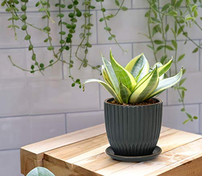 D'vine Dev 2-Pack Stoneware Planter Pots, 4.5/5.8 in, Charcoal Grey, 99-D-3 - color: Gray