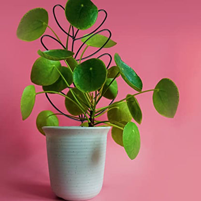2Pack Indoor Plant Trellis Metal Wire Garden Trellis ，Small Climbing Leaf Shape Trellis for Garden Potted Plant Houseplant(Blackish) - color: Blackish