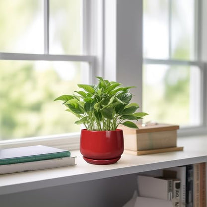 G EPGardening Ceramic Pots for Plants, 4 Inch Succulent Pots, Red - color: Red, size: 4 Inch