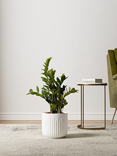 LE TAUCI Ceramic Planters, 8.3/7/6 Inch Indoor Pots for Plants with Drainage Holes & Mesh, Modern Matte Glaze Cylinder Fluted Plant Pot for Snake Plant, Set of 3, White - color: White