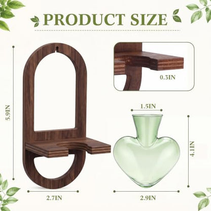 Hushee 3 Set Plant Propagation Station for Wall Hanging with Wooden Stand