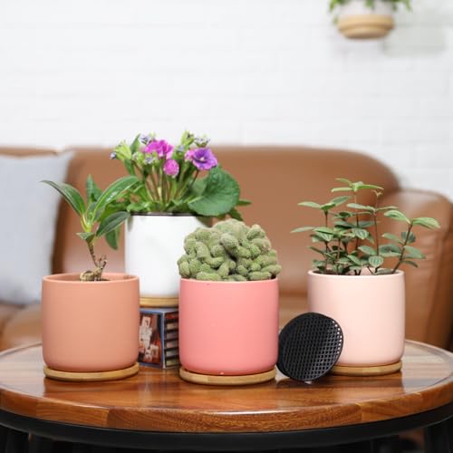 4" Ceramic Plant Pots with Drainage Holes & Trays Multicolor Set of 4 - color: Multi-colors