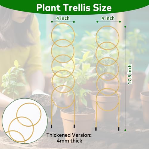 17.5 Inch Plant Trellis Indoor for Climbing Plants, Metal Small Trellis for Potted Plants, Plant Stakes for Indoor Plants, Plant Support for Hoya Flower Vine, Gold 2PCS