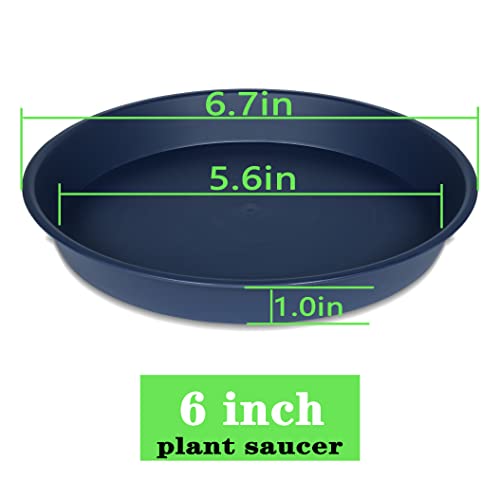 6 Pack Plant Saucer Drainage Tray, Plastic Plant Water Tray, 6 inch Flower Saucers for Indoors, Plant Dishes for Pots Base (6 inch, Blue) - color: Blue, size: 6"