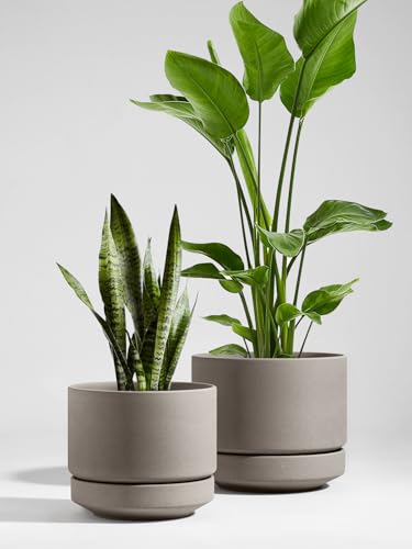 LE TAUCI 12 Inch Pots for Plants with Saucer | Ceramic Outdoor & Indoor Planter Pot for Plants | Drainage Hole, Mesh Pad | Unglazed Porous | Modern for Home, Office and Patio – Neutral Gray - color: Neutral Gray, size: 12 Inch