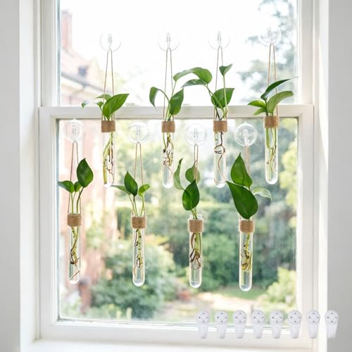 Bunmery 8 pcs Window Propagation Stations, Plastic Plant Propagation Tubes with Suction Cups & Traceless Nails, Easy to Install Window Wall Hanging Planter Terrarium Vase