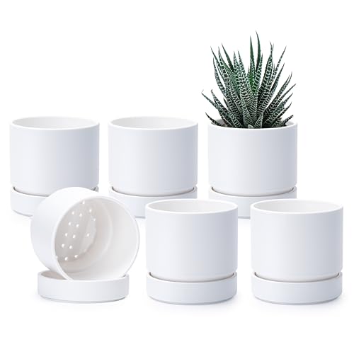 Phoenix Vine 4 Inch Planter Pot with Drainage Hole & Saucer, Deep Water Catch Tray, Straight Cylindrical Round Pot for Plants, Matte White, Pack of 6, 23-B-R-6 - color: Matte White, size: 4" (6 Pack)