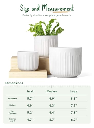 LE TAUCI Ceramic Planters, 8.3/7/6 Inch Indoor Pots for Plants with Drainage Holes & Mesh, Modern Matte Glaze Cylinder Fluted Plant Pot for Snake Plant, Set of 3, White - color: White