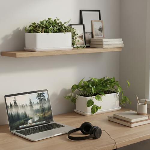 MyGift White Ceramic Succulent Planter with Drainage & Saucer, 2 Pack - size: 10 inch - 2 Pack