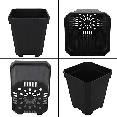60pcs Plastic Square Nursery Pot (Black) Thick Plastic Square Flower Planting Pots with Drainage Hole for Seed Germination, Seed Starting Pots, Modern Decorative Flower Pot