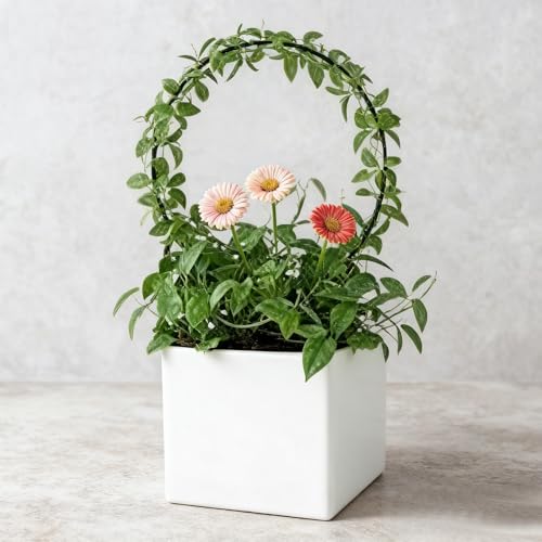 2Pcs Round Plant Trellis, Acrylic Small Trellis