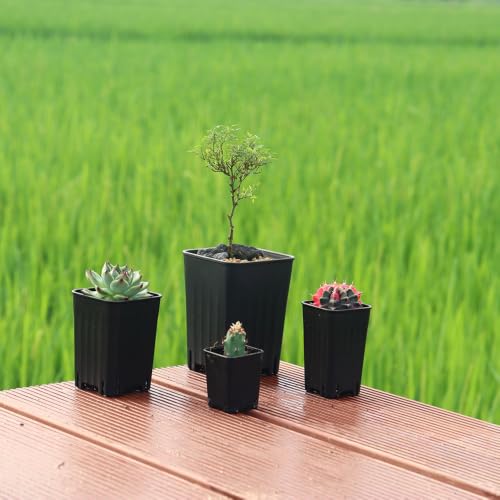 16 Pack 3.20 Inch Small Black Plastic Square Nursery and Seedling Pot, Deep Transplant Seed Starter Planter with Drain Hole for Germination, Herb, Succulent - color: Black