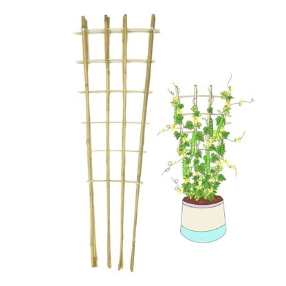 Natural BambooTrellis,4.8Feet,3Pack,GUANGYE,Fan-Shaped Plant SupportTrellis - style: 4.8Feet,3Pack