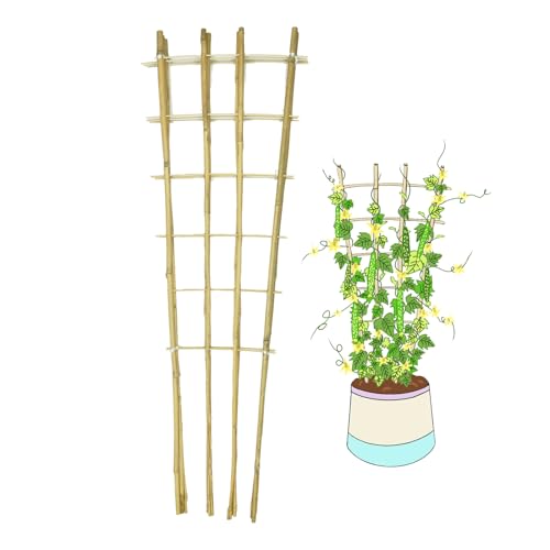 Natural BambooTrellis,4.8Feet,3Pack,GUANGYE,Fan-Shaped Plant SupportTrellis - style: 4.8Feet,3Pack