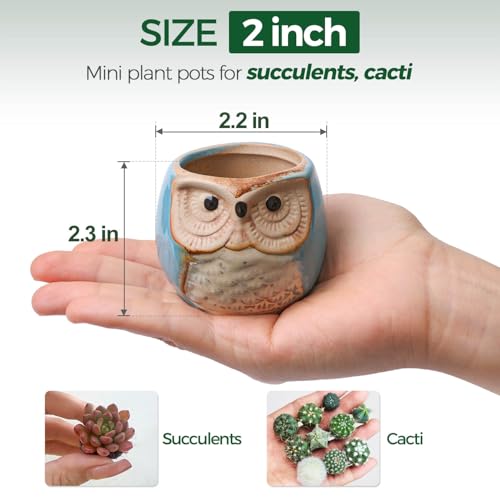 T4U Owl Succulent Pots, Mini Ceramic Gift Pots with Drainage, Retro 6 Pack - color: Owl, size: Pack of 6
