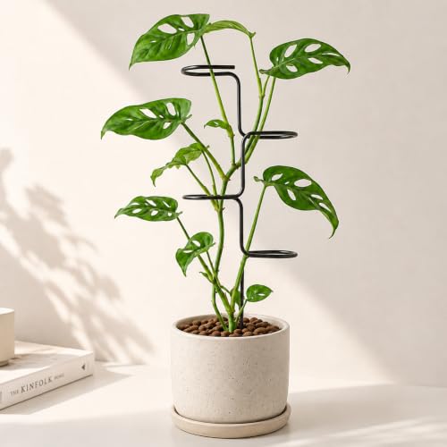 3Pcs Plant stem Supports for Indoor Plants - 17" Metal Stakes for Monstera - color: Black