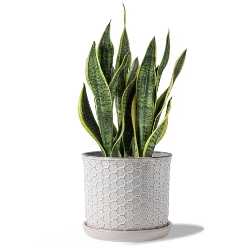 8 Inch Ceramic Plant Pot with Drainage Hole & Separate Saucer - color: Honeycomb Embossed, size: 8 inch