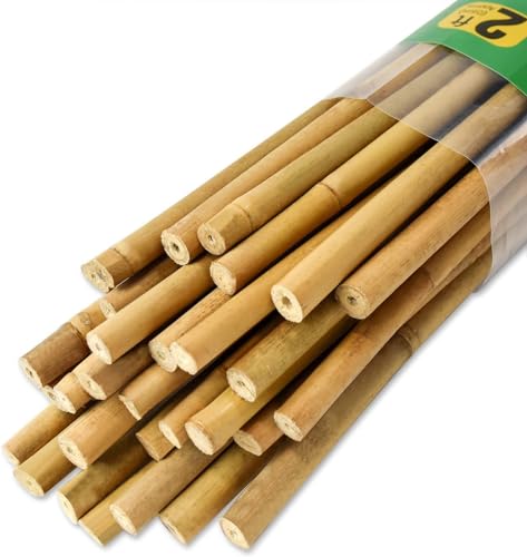 Jollybower 30pcs 3/10" D Thicker Heavy Duty Bamboo Stakes, 2FT Plant Stakes, Natural Garden Stakes for Tomato, Bean, Flowers,Trees Potted and Climbing Plant Support - size: 2Ft, Pack of 30