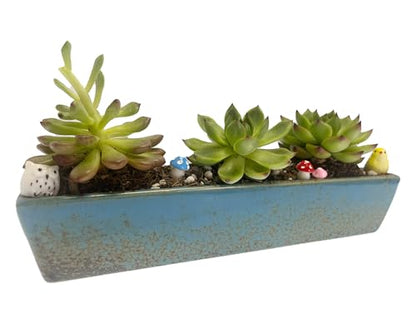 9.8 inch Blue Long Rectangle Ceramic Succulent Planter Pot,one Set of Mini Flower Plant Container with Bamboo Saucers. not Include the Plant. (Blue) - color: Blue