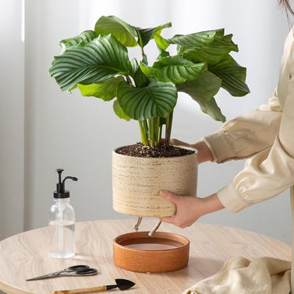 8 Inch Ceramic Self Watering Planter with Drainage Hole, Brush - color: Brush, size: Medium