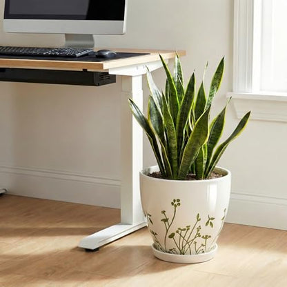 MPotTo Ceramic Pot for Plants 10 Inch, Grasses White - color: Grasses White, size: 10 Inch