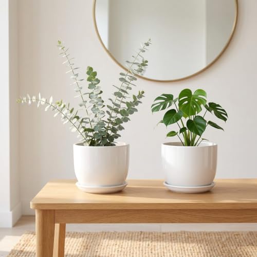 Ceramic Plant Pots, White, 6.7 Inch, 2 Pack - size: 6.7 Inch 2 Pcs