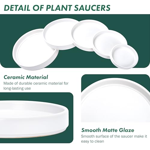D'vine Dev Ceramic Plant Saucer/Drainage Tray, 11.8 in, White, 97-T-A-6 - color: White, size: 11.8" (1 Pack)