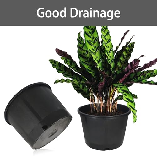 Plant Nursery Pot 10-Pack 5 Gallon Short Plastic Garden Planter Pots Flower Seedling Injection Molded Container Seed Starting Pot Set for Indoor Outdoor Plants Seedlings Vegetables Black - size: Short 5 Gallon