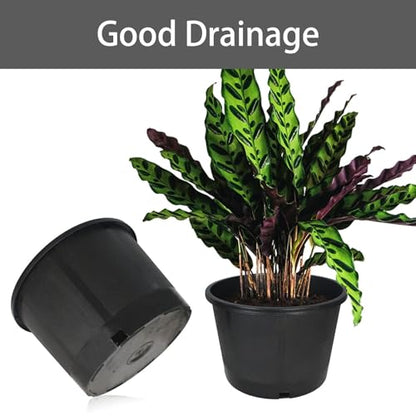 Plant Nursery Pot 10-Pack 5 Gallon Short Plastic Garden Planter Pots Flower Seedling Injection Molded Container Seed Starting Pot Set for Indoor Outdoor Plants Seedlings Vegetables Black - size: Short 5 Gallon